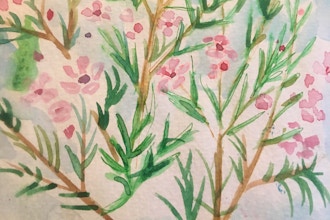Virtual Watercolor for Kids (Ages 7 - 13)